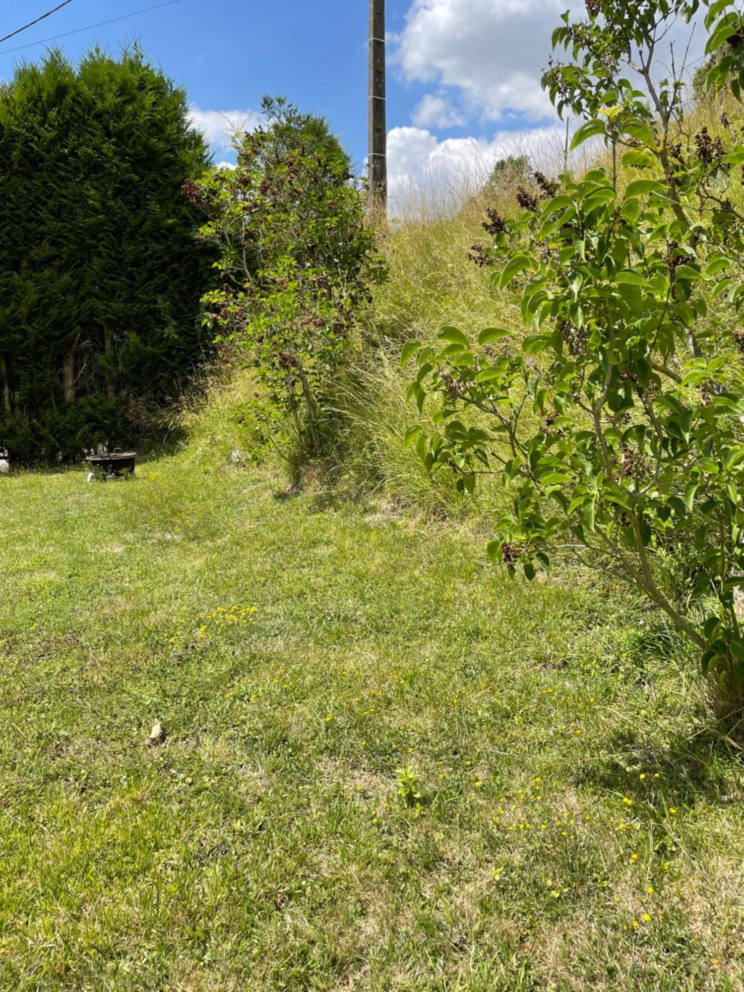 Maison Sur La Colline Saint-Martin-l'Hortier Zewnętrze zdjęcie
